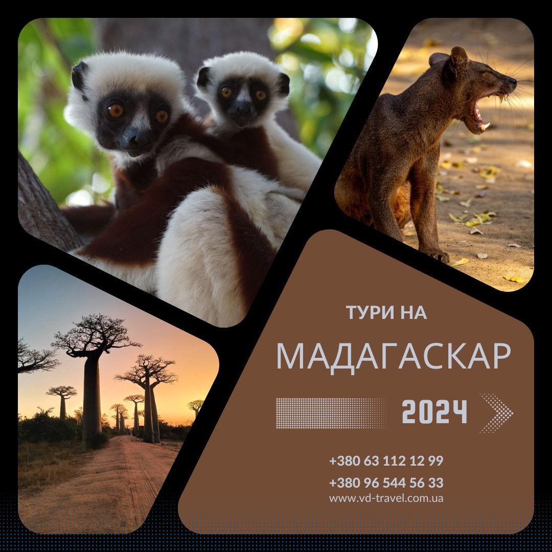 Мадагаскар: калейдоскоп турів на 2024