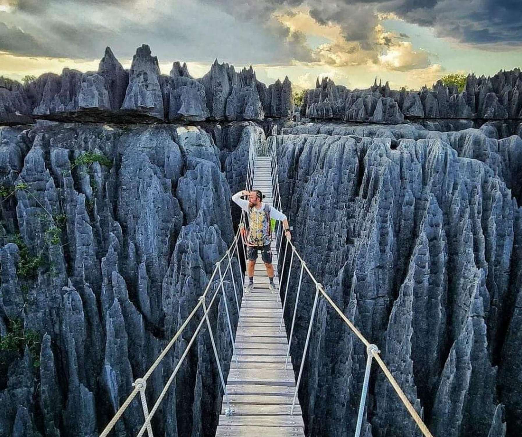 Мадагаскар: Цингі (кам'яний ліс)